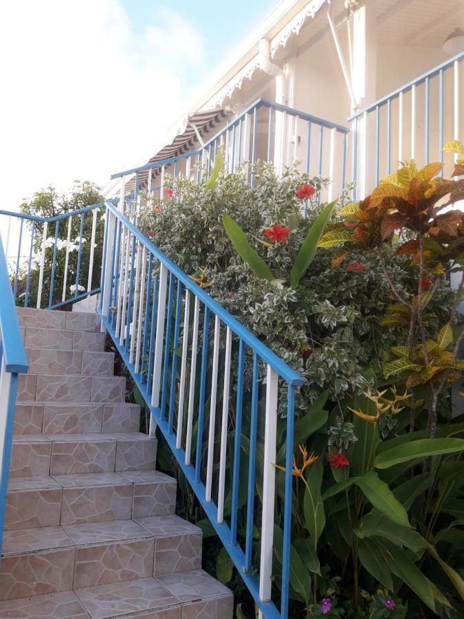 شقة 9 Lyly Location F3 Mezzanine سانت آن المظهر الخارجي الصورة